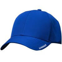 Warrior Team Performance Cap